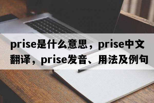 prise是什么意思，prise中文翻譯，prise發(fā)音、用法及例句
