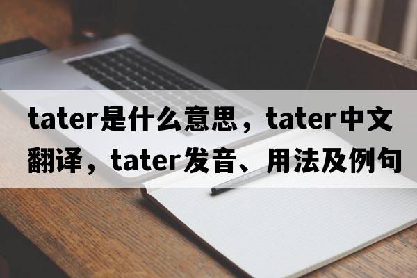 tater是什么意思，tater中文翻譯，tater發(fā)音、用法及例句