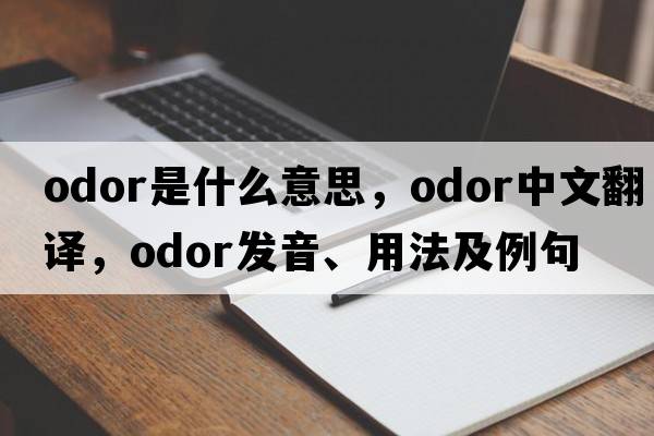 odor是什么意思，odor中文翻譯，odor發(fā)音、用法及例句