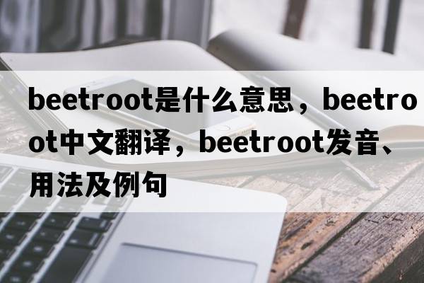 beetroot是什么意思，beetroot中文翻譯，beetroot發(fā)音、用法及例句