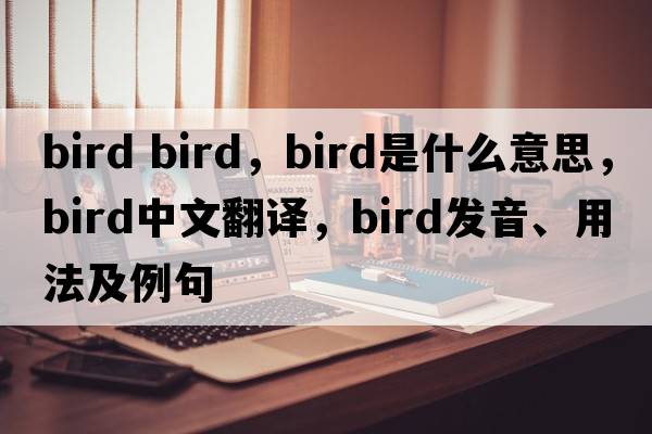 bird bird，bird是什么意思，bird中文翻譯，bird發(fā)音、用法及例句