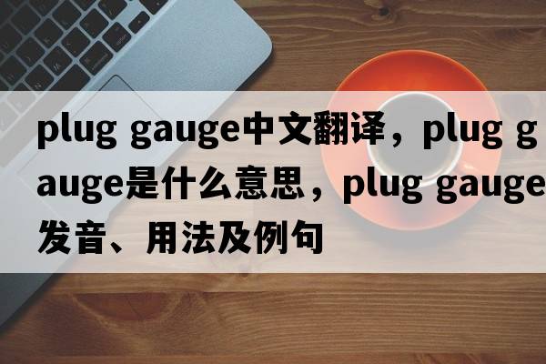 plug gauge中文翻譯，plug gauge是什么意思，plug gauge發(fā)音、用法及例句