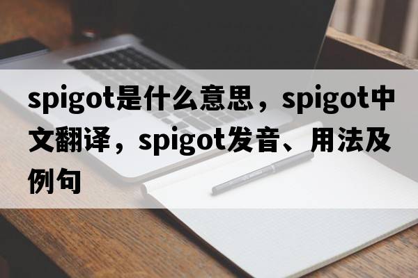 spigot是什么意思，spigot中文翻譯，spigot發(fā)音、用法及例句
