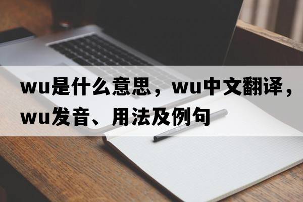 wu是什么意思，wu中文翻譯，wu發(fā)音、用法及例句