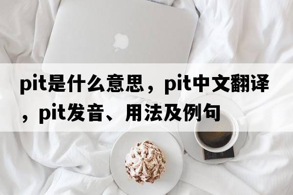 pit是什么意思，pit中文翻譯，pit發(fā)音、用法及例句