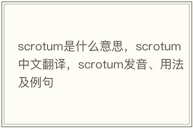 scrotum是什么意思，scrotum中文翻譯，scrotum發(fā)音、用法及例句