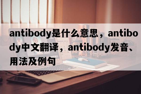 antibody是什么意思，antibody中文翻譯，antibody發(fā)音、用法及例句