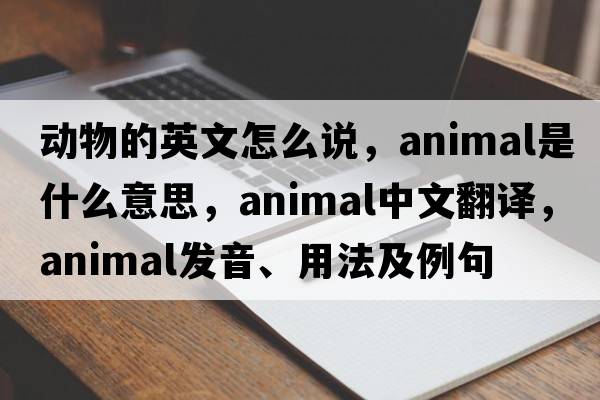 動(dòng)物的英文怎么說(shuō)，animal是什么意思，animal中文翻譯，animal發(fā)音、用法及例句