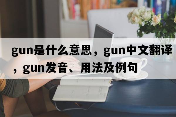 gun是什么意思，gun中文翻譯，gun發(fā)音、用法及例句
