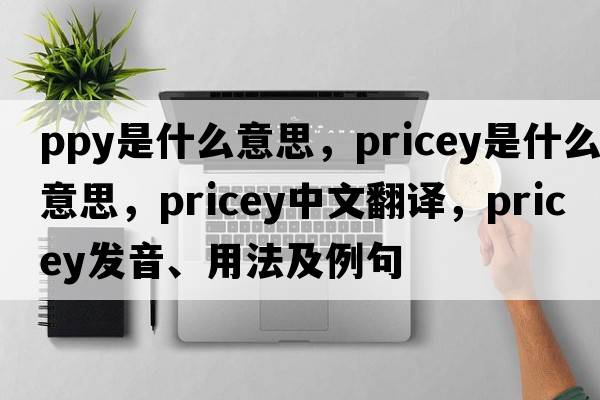 ppy是什么意思，pricey是什么意思，pricey中文翻譯，pricey發(fā)音、用法及例句