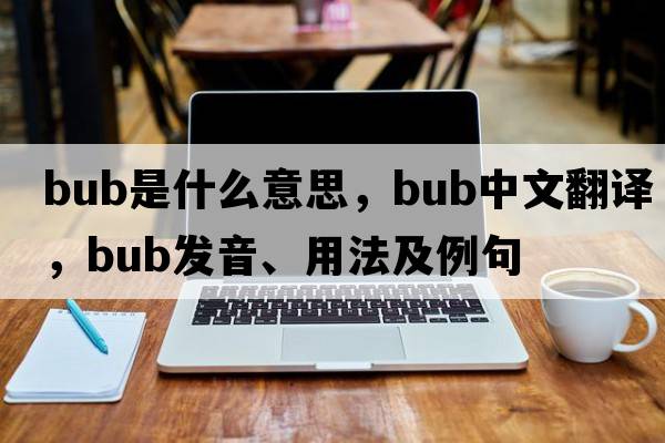 bub是什么意思，bub中文翻譯，bub發(fā)音、用法及例句