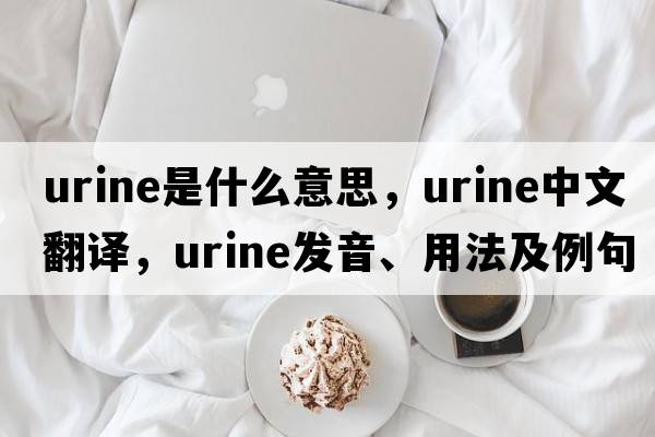 urine是什么意思，urine中文翻譯，urine發(fā)音、用法及例句