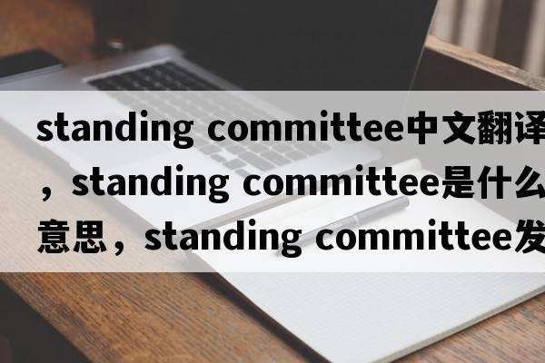 standing committee中文翻譯，standing committee是什么意思，standing committee發(fā)音、用法及例句