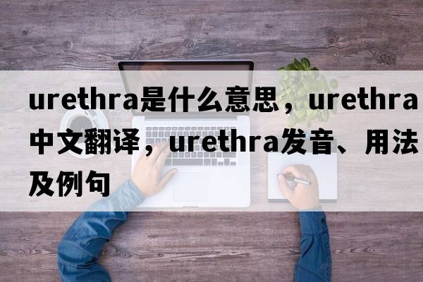 urethra是什么意思，urethra中文翻譯，urethra發(fā)音、用法及例句