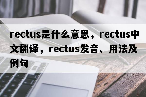 rectus是什么意思，rectus中文翻譯，rectus發(fā)音、用法及例句