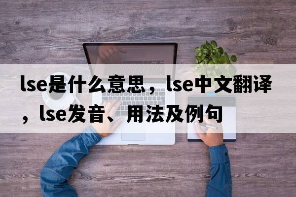 lse是什么意思，lse中文翻譯，lse發(fā)音、用法及例句