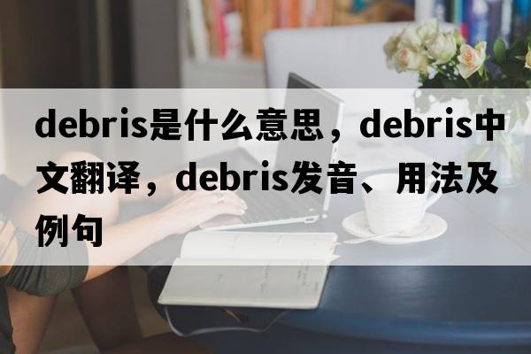 debris是什么意思，debris中文翻譯，debris發(fā)音、用法及例句
