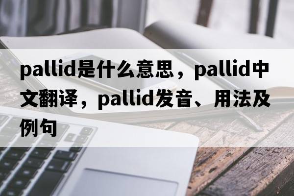 pallid是什么意思，pallid中文翻譯，pallid發(fā)音、用法及例句