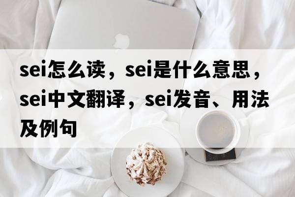 sei怎么讀，sei是什么意思，sei中文翻譯，sei發(fā)音、用法及例句