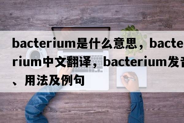bacterium是什么意思，bacterium中文翻譯，bacterium發(fā)音、用法及例句