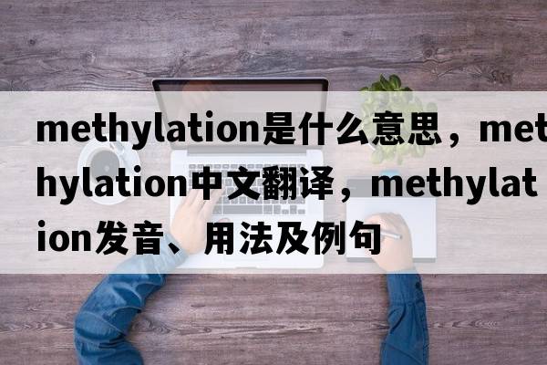 methylation是什么意思，methylation中文翻譯，methylation發(fā)音、用法及例句