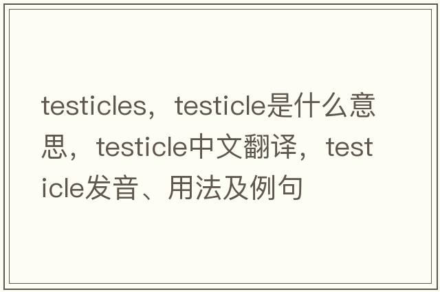 testicles，testicle是什么意思，testicle中文翻譯，testicle發(fā)音、用法及例句