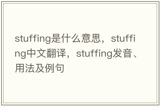 stuffing是什么意思，stuffing中文翻譯，stuffing發(fā)音、用法及例句