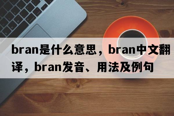 bran是什么意思，bran中文翻譯，bran發(fā)音、用法及例句