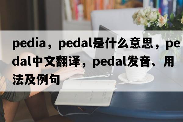 pedia，pedal是什么意思，pedal中文翻譯，pedal發(fā)音、用法及例句