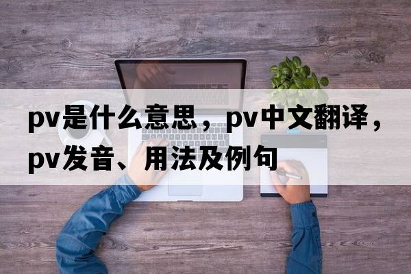 pv是什么意思，pv中文翻譯，pv發(fā)音、用法及例句