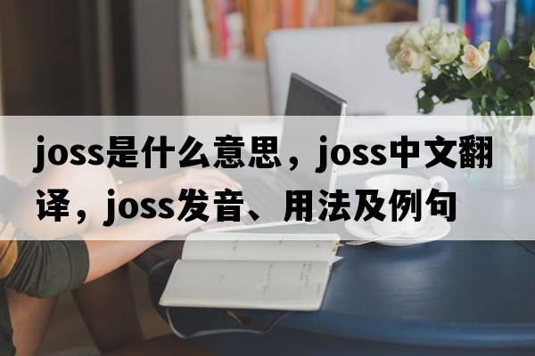 joss是什么意思，joss中文翻譯，joss發(fā)音、用法及例句