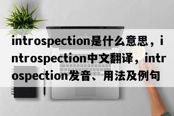 introspection是什么意思，introspection中文翻譯，introspection發(fā)音、用法及例句