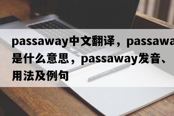 passaway中文翻譯，passaway是什么意思，passaway發(fā)音、用法及例句