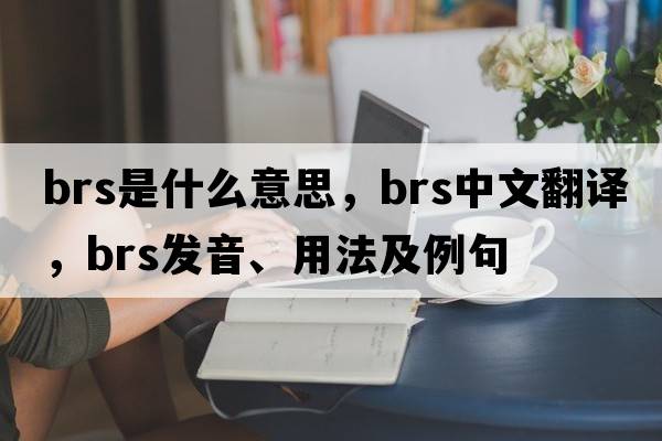 BRS是什么意思，BRS中文翻譯，BRS發(fā)音、用法及例句