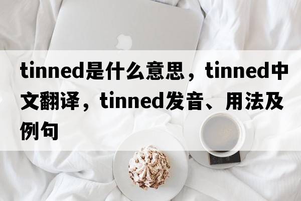 tinned是什么意思，tinned中文翻譯，tinned發(fā)音、用法及例句