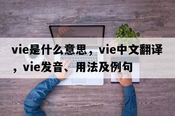 vie是什么意思，vie中文翻譯，vie發(fā)音、用法及例句
