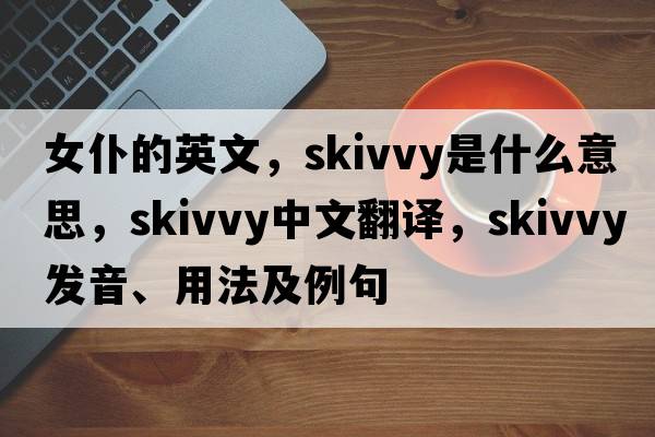 女仆的英文，skivvy是什么意思，skivvy中文翻譯，skivvy發(fā)音、用法及例句