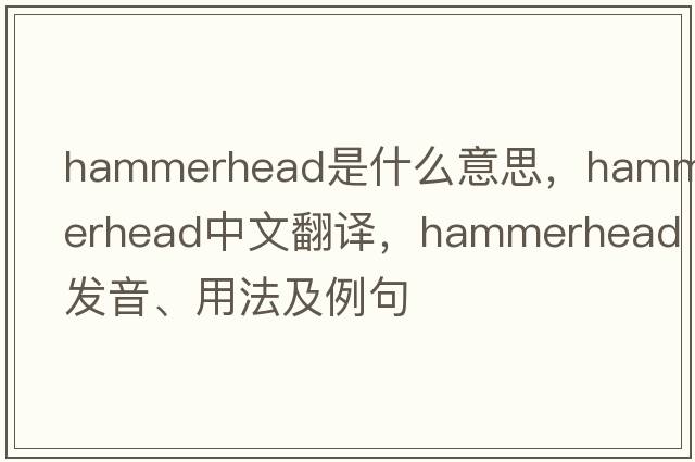 hammerhead是什么意思，hammerhead中文翻譯，hammerhead發(fā)音、用法及例句