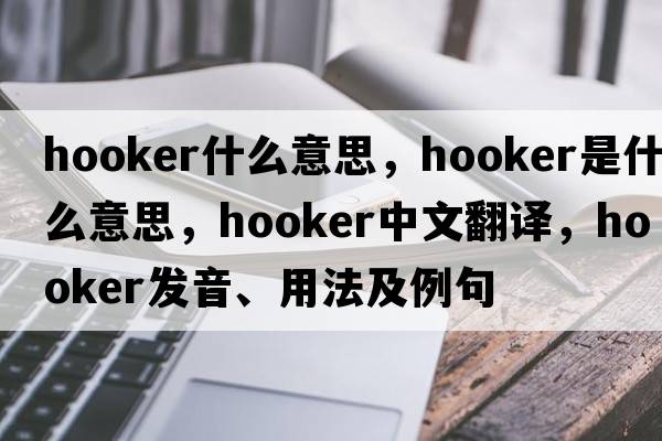 hooker什么意思，hooker是什么意思，hooker中文翻譯，hooker發(fā)音、用法及例句