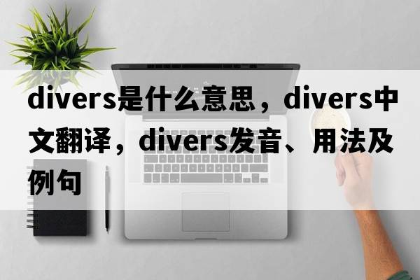 divers是什么意思，divers中文翻譯，divers發(fā)音、用法及例句