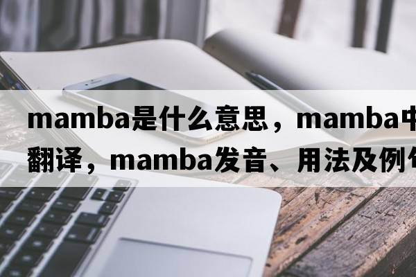 mamba是什么意思，mamba中文翻譯，mamba發(fā)音、用法及例句