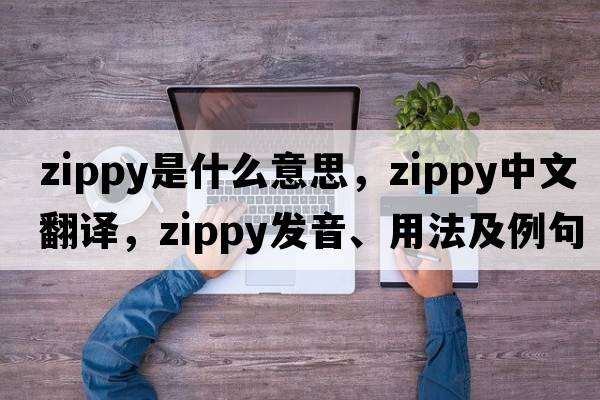 zippy是什么意思，zippy中文翻譯，zippy發(fā)音、用法及例句
