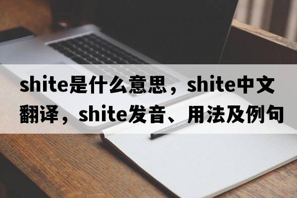 shite是什么意思，shite中文翻譯，shite發(fā)音、用法及例句