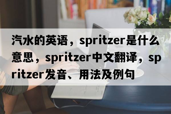 汽水的英語，spritzer是什么意思，spritzer中文翻譯，spritzer發(fā)音、用法及例句