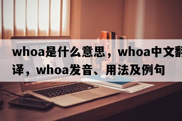 whoa是什么意思，whoa中文翻譯，whoa發(fā)音、用法及例句
