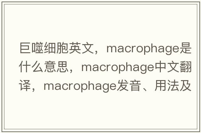 巨噬細(xì)胞英文，macrophage是什么意思，macrophage中文翻譯，macrophage發(fā)音、用法及例句