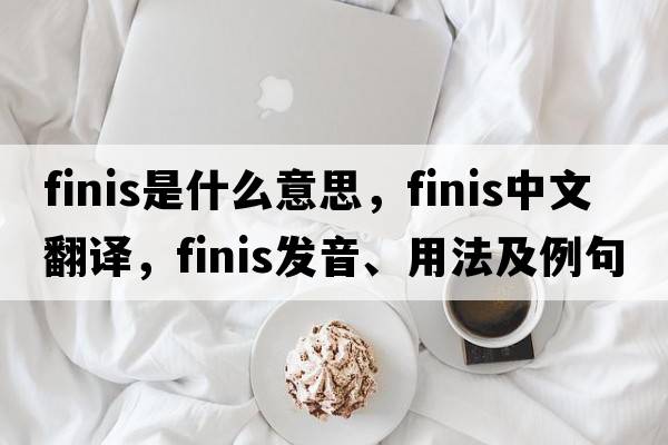 finis是什么意思，finis中文翻譯，finis發(fā)音、用法及例句