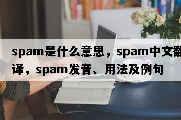 spam是什么意思，spam中文翻譯，spam發(fā)音、用法及例句