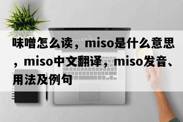 味噌怎么讀，miso是什么意思，miso中文翻譯，miso發(fā)音、用法及例句