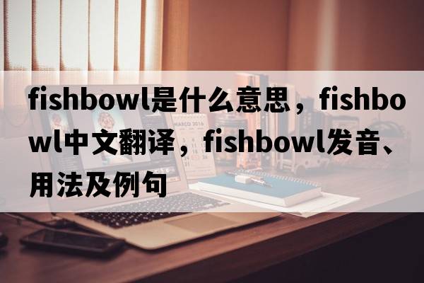 fishbowl是什么意思，fishbowl中文翻譯，fishbowl發(fā)音、用法及例句